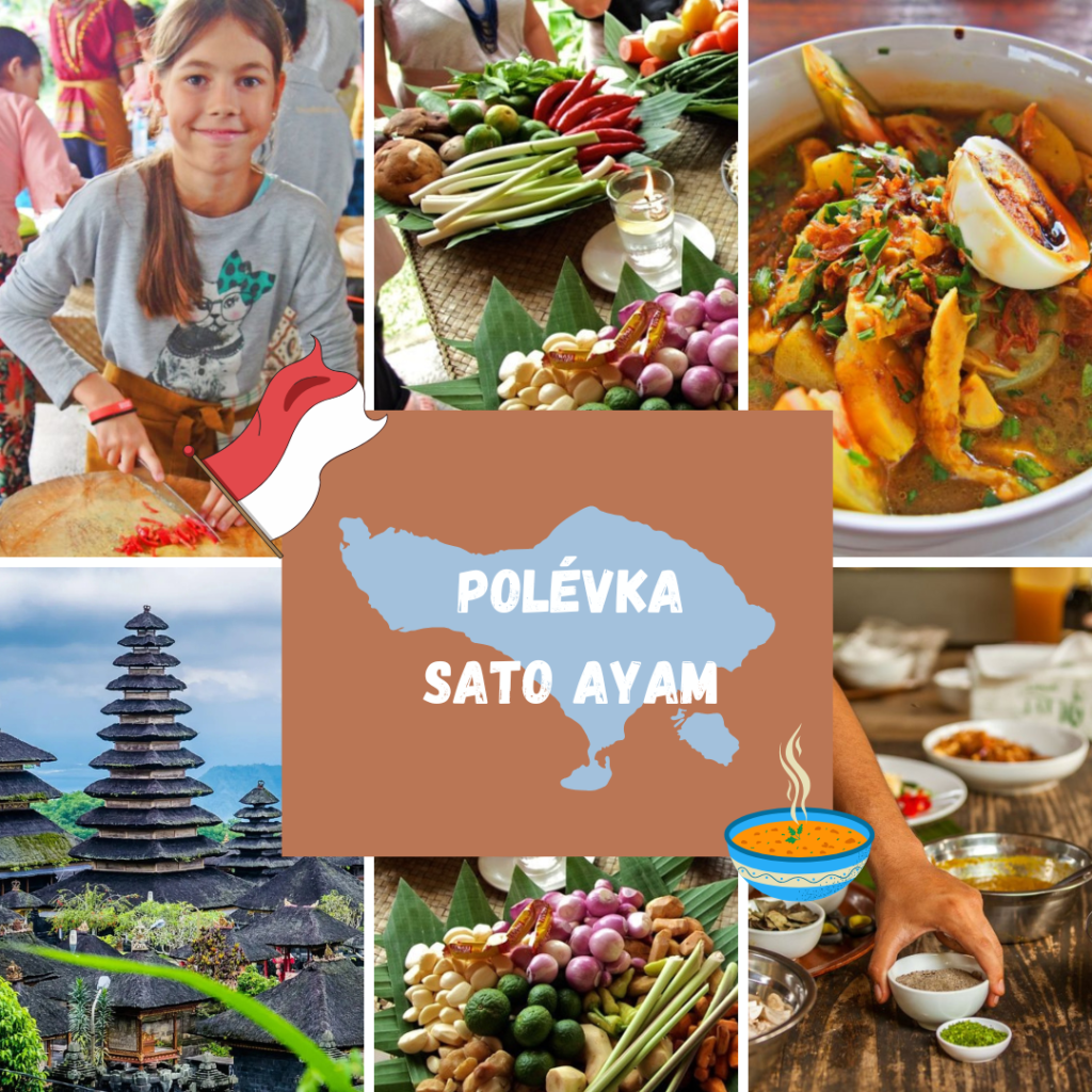 POLÉVKA SATO AYAM