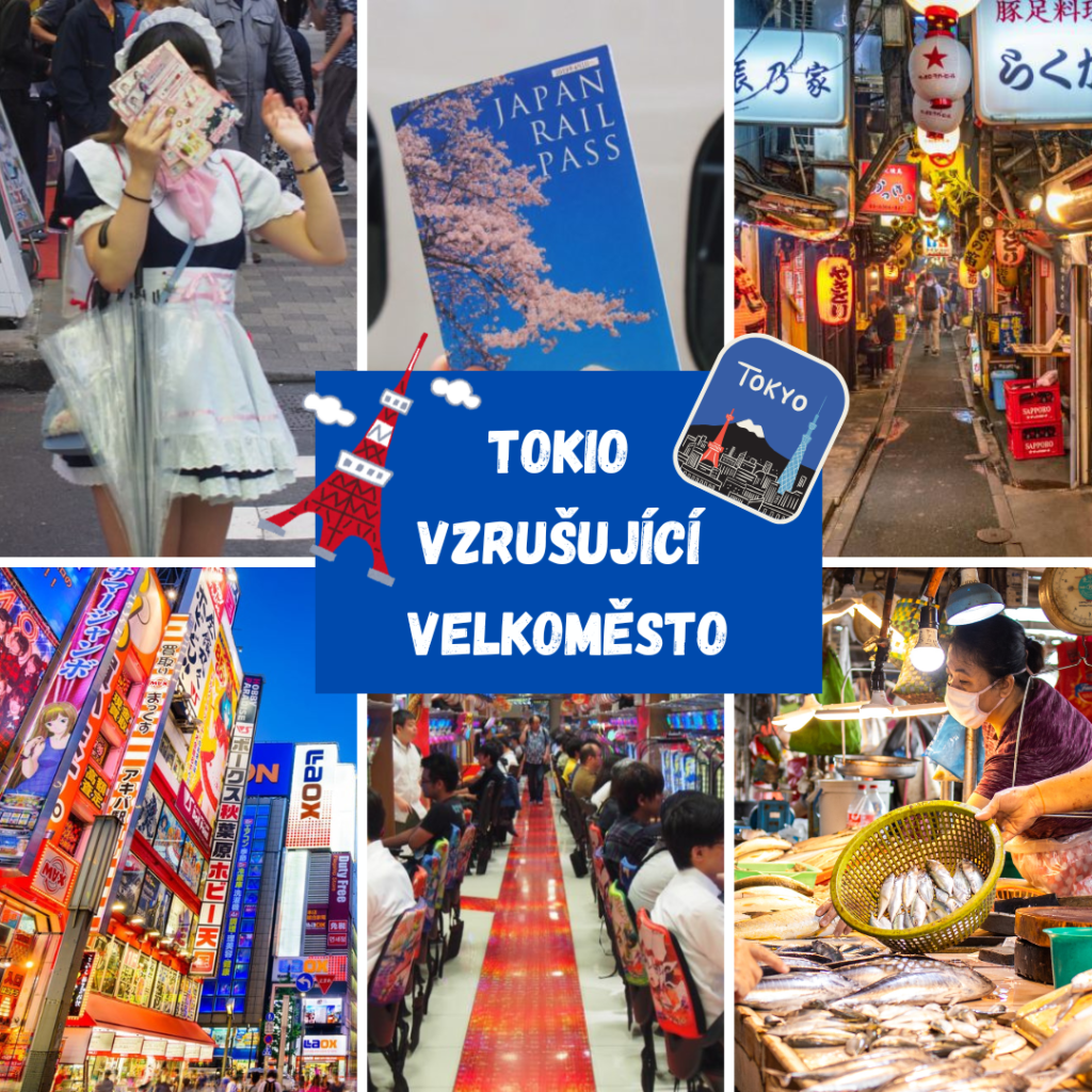 TOKIO - VZRUŠUJÍCÍ VELKOMĚSTO