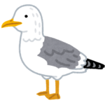 racek