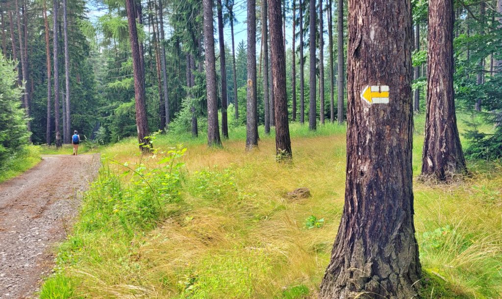 ČESKÁ SVATOJAKUBSKÁ CESTA -VŠERUBSKÁ TRASA