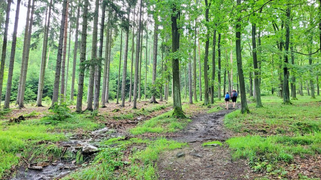 ČESKÁ SVATOJAKUBSKÁ CESTA -VŠERUBSKÁ TRASA