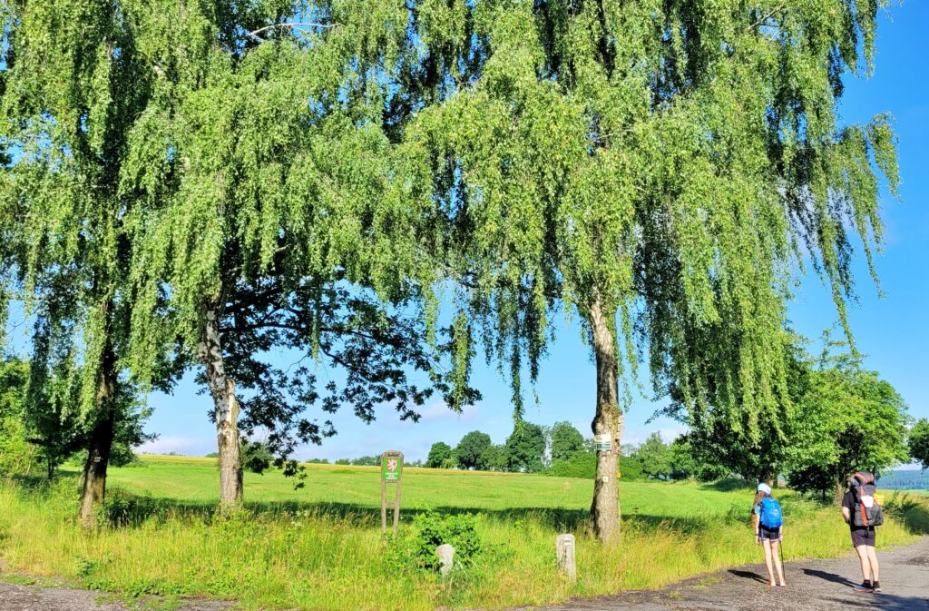 ČESKÁ SVATOJAKUBSKÁ CESTA - VŠERUBSKÁ TRASA 