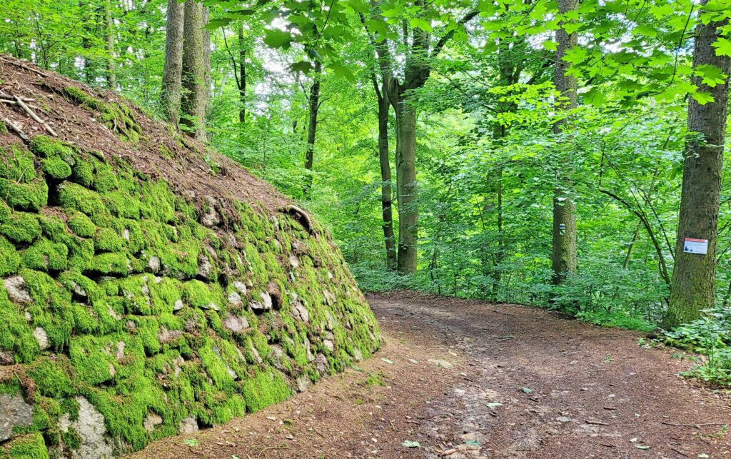 ČESKÁ SVATOJAKUBSKÁ CESTA - VŠERUBSKÁ TRASA 