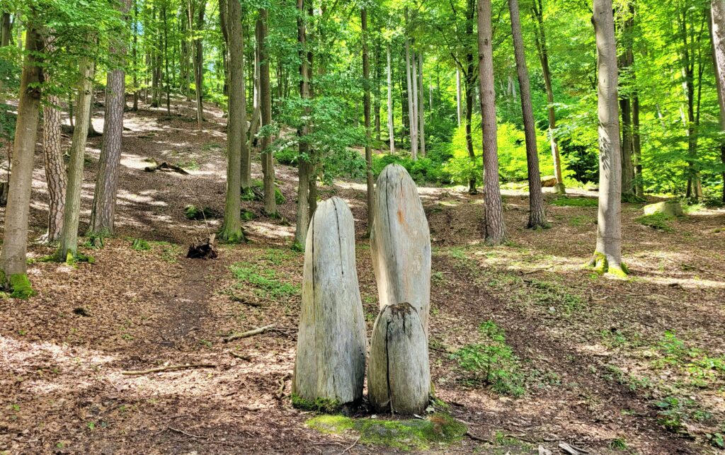 ČESKÁ SVATOJAKUBSKÁ CESTA - VŠERUBSKÁ TRASA 