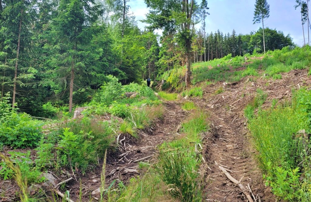 ČESKÁ SVATOJAKUBSKÁ CESTA - VŠERUBSKÁ TRASA 