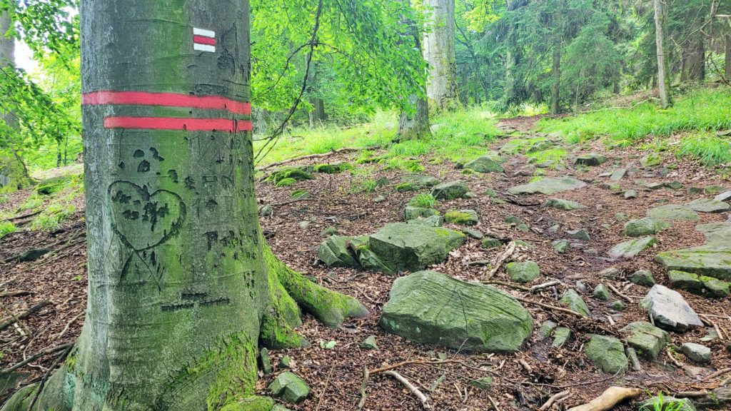 ČESKÁ SVATOJAKUBSKÁ CESTA -VŠERUBSKÁ TRASA
