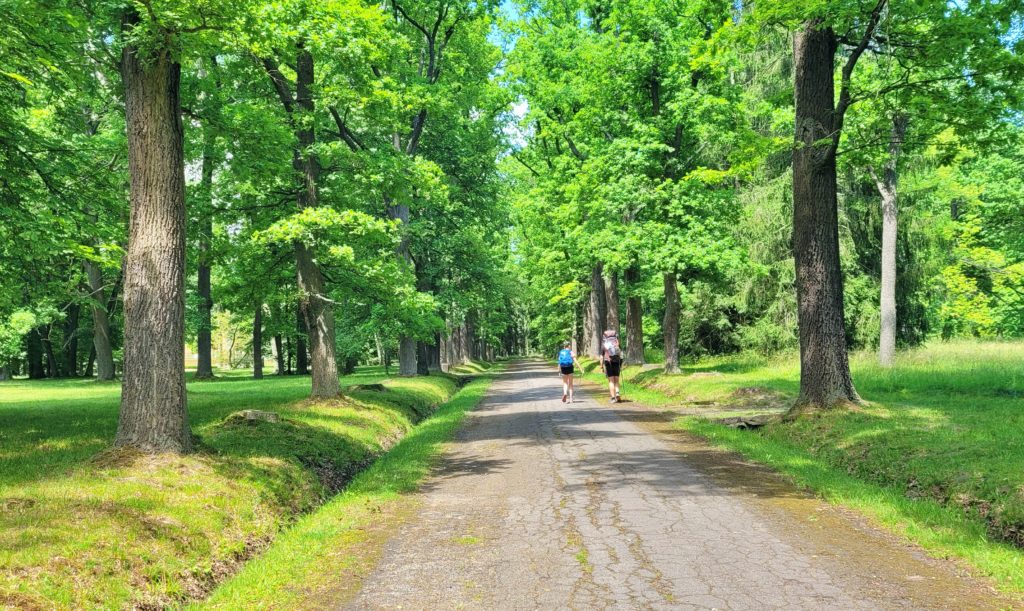 ČESKÁ SVATOJAKUBSKÁ CESTA - VŠERUBSKÁ TRASA 