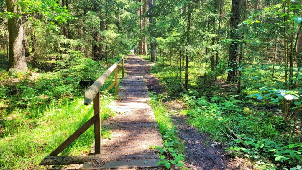 ČESKÁ SVATOJAKUBSKÁ CESTA - VŠERUBSKÁ TRASA 