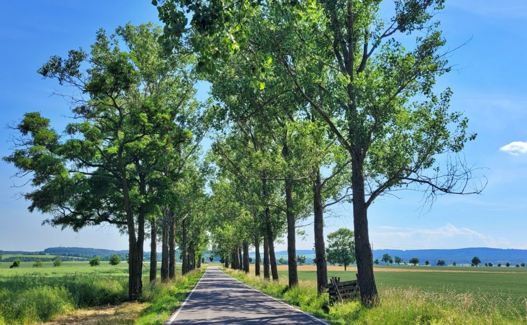 ČESKÁ SVATOJAKUBSKÁ CESTA - VŠERUBSKÁ TRASA 