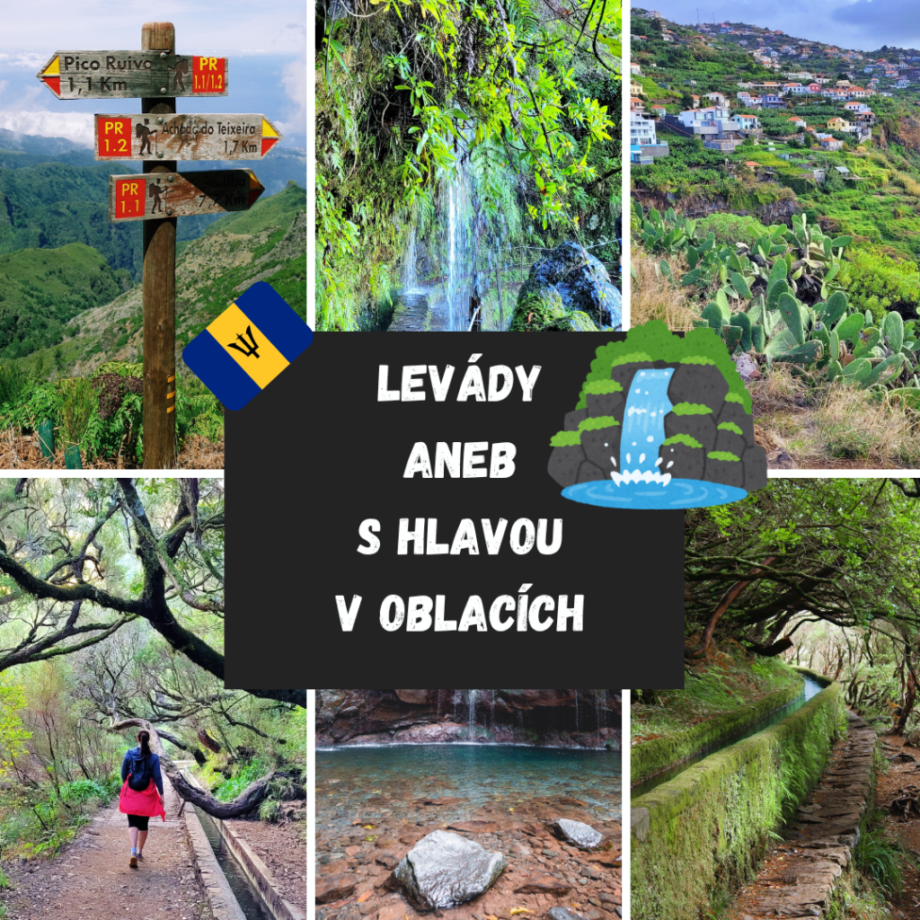 LEVÁDY ANEB S HLAVOU V OBLACÍCH