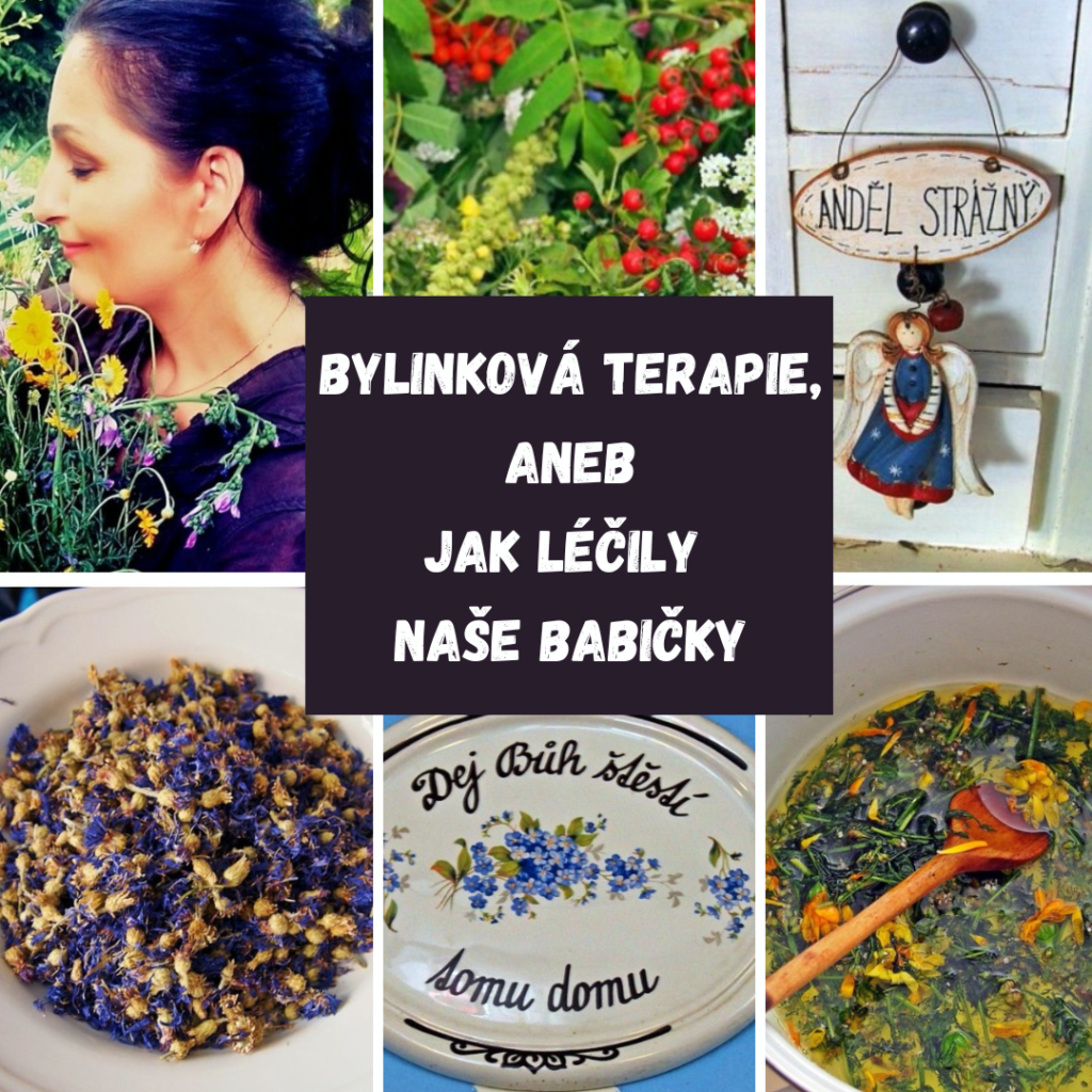 BYLINKOVÁ TERAPIE, ANEB JAK LÉČILY NAŠE BABIČKY