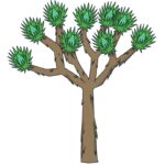 JOSHUA TREE