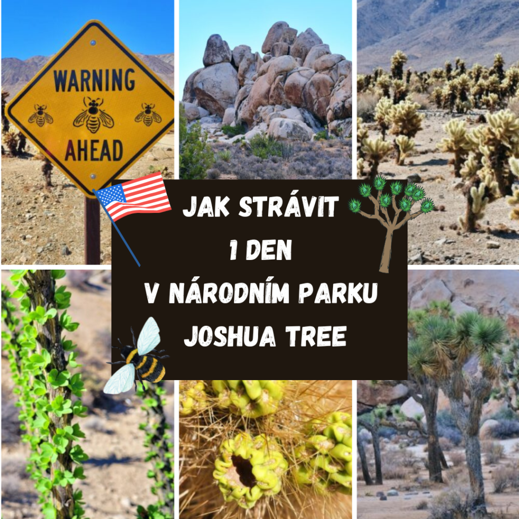 JAK STRÁVIT 1 DEN V NÁRODNÍM PARKU JOSHUA TREE