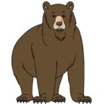 BEARS