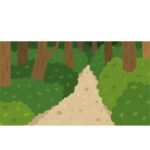 path through the forest