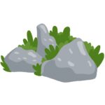 rocks