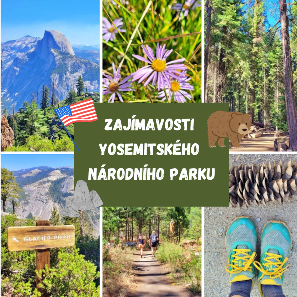ZAJÍMAVOSTI YOSEMITSKÉHO NÁRODNÍHO PARKU