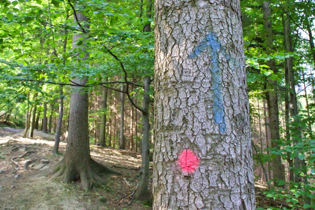 PO STOPÁCH CYRILA A METODĚJE: CYRILOMETODĚJSKÁ STEZKA