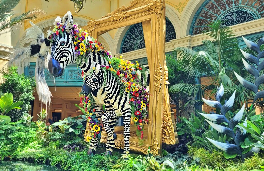 LAS VEGAS - HŘÍŠNÉ MĚSTO, KTERÉ NIKDY NESPÍ