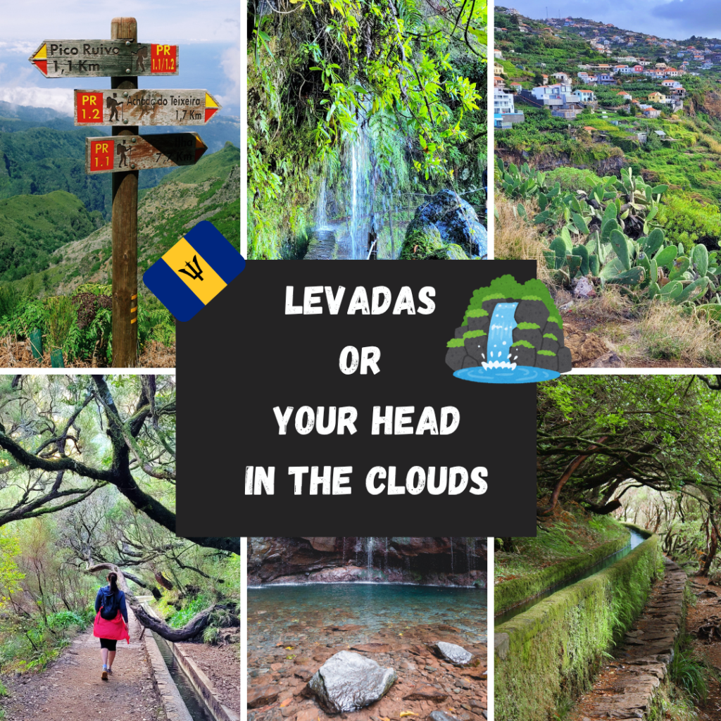 LEVADAS OR WITH YOUR HEAD IN THE CLOUDS