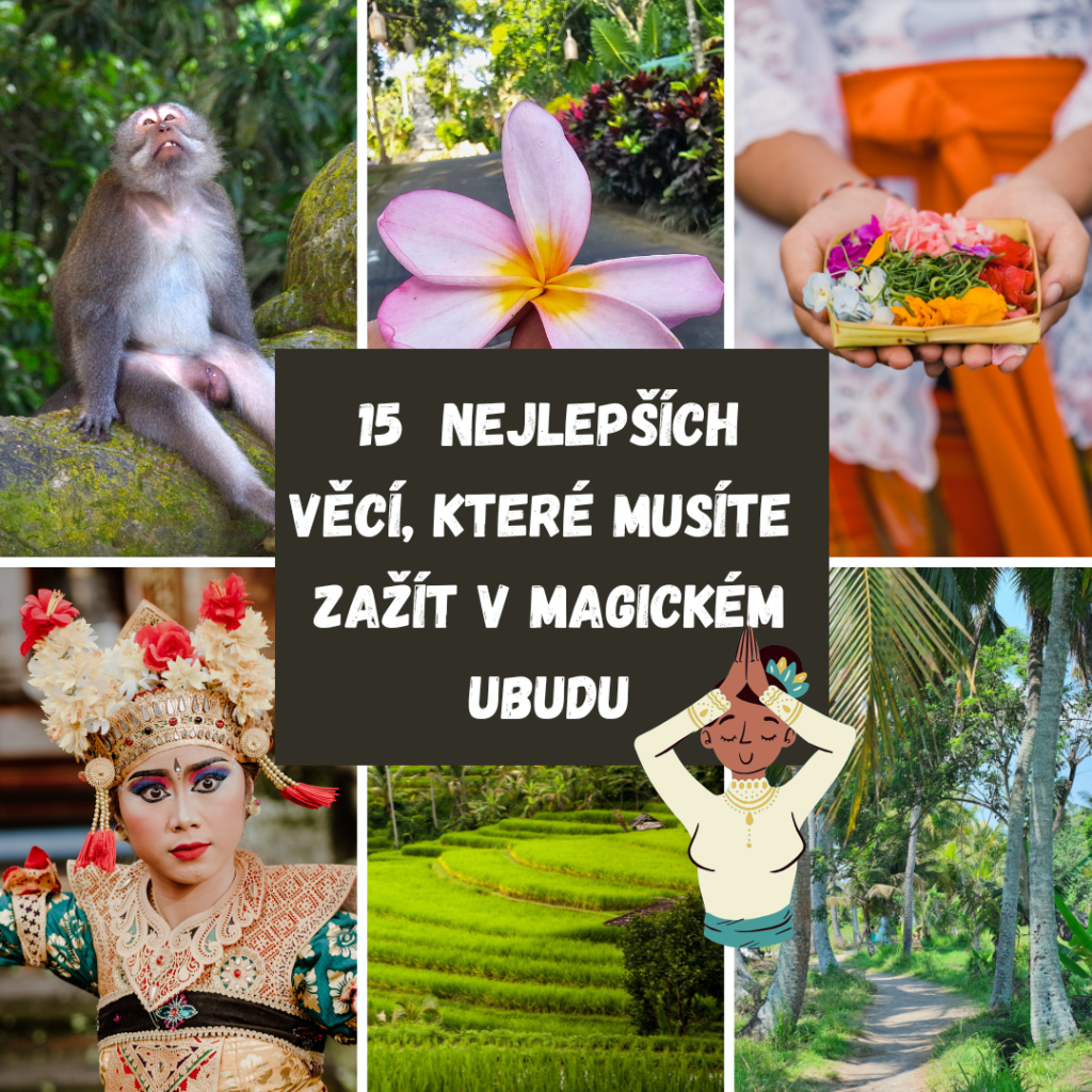 15 NEJLEPŠÍCH VĚCÍ, KTERÉ MUSÍTE ZAŽÍT V MAGICKÉM UBUDU