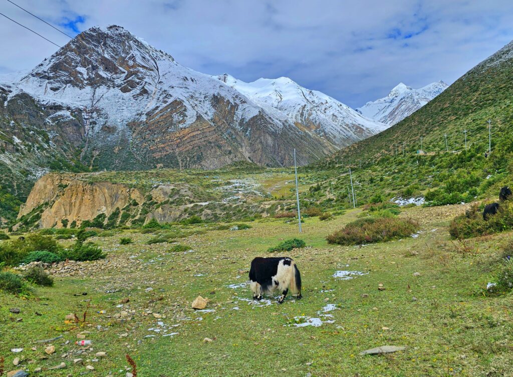 TREK KOLEM ANNAPUREN