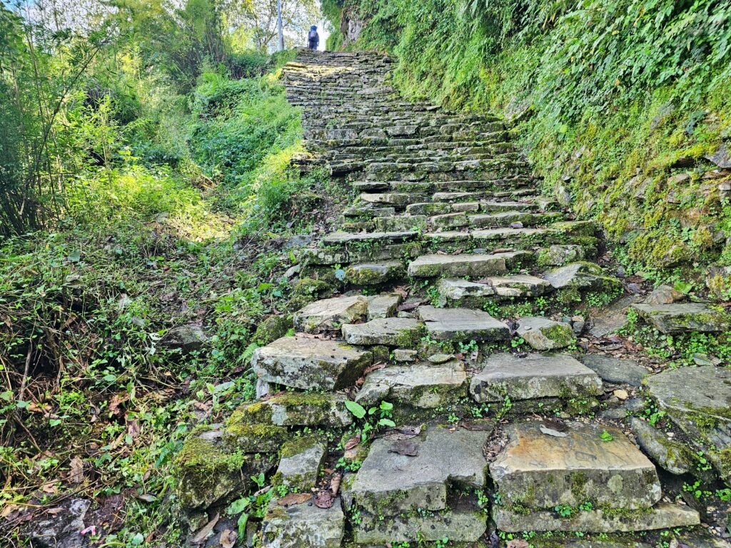 TREK KOLEM ANNAPUREN