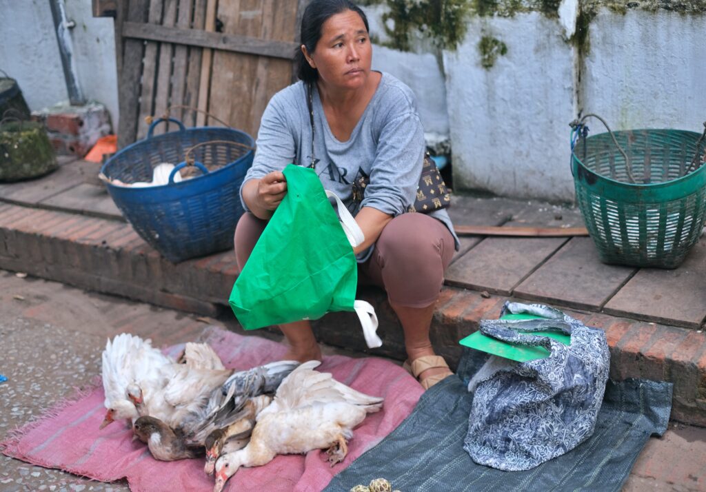 LUANG PRABANG - PERLA LAOSU, KDE SE ZASTAVIL ČAS