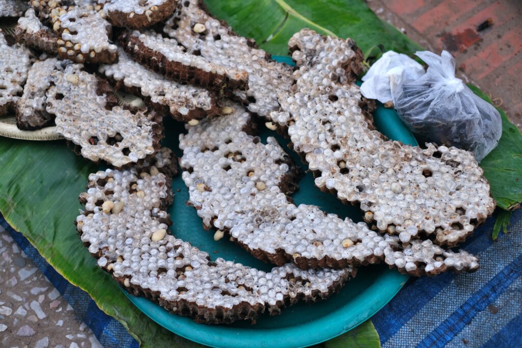 LUANG PRABANG - PERLA LAOSU, KDE SE ZASTAVIL ČAS