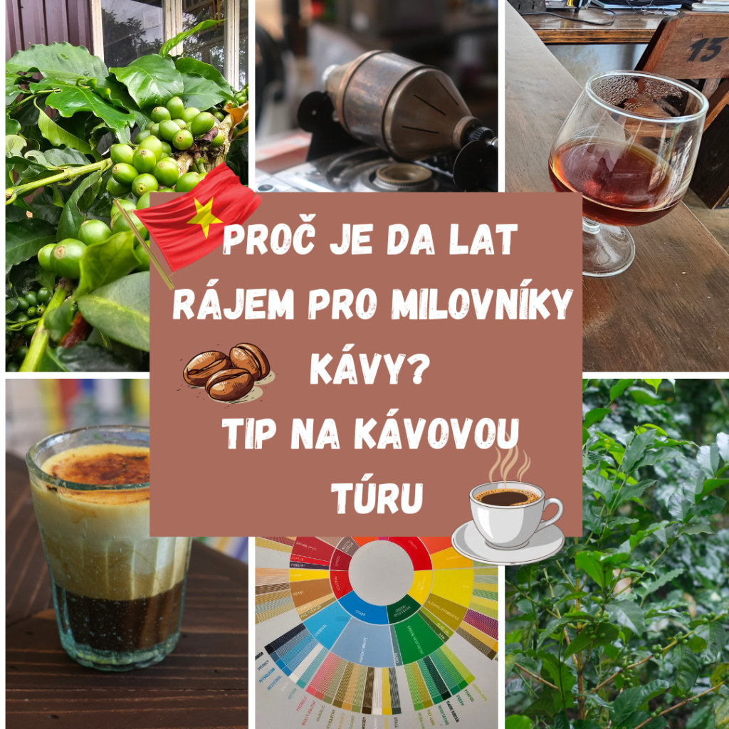 PROČ JE DA LAT RÁJEM PRO MILOVNÍKY KÁVY? TIP NA KÁVOVOU TÚRU