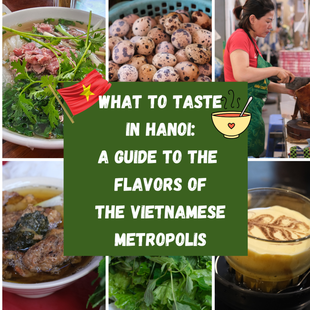 WHAT TO TASTE IN HANOI: A GUIDE TO THE FLAVORS OF THE VIETNAMESE METROPOLIS