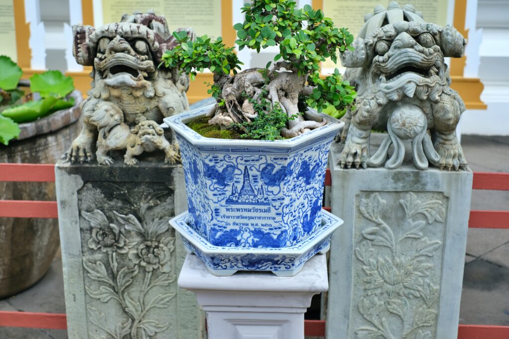 WAT ARUN