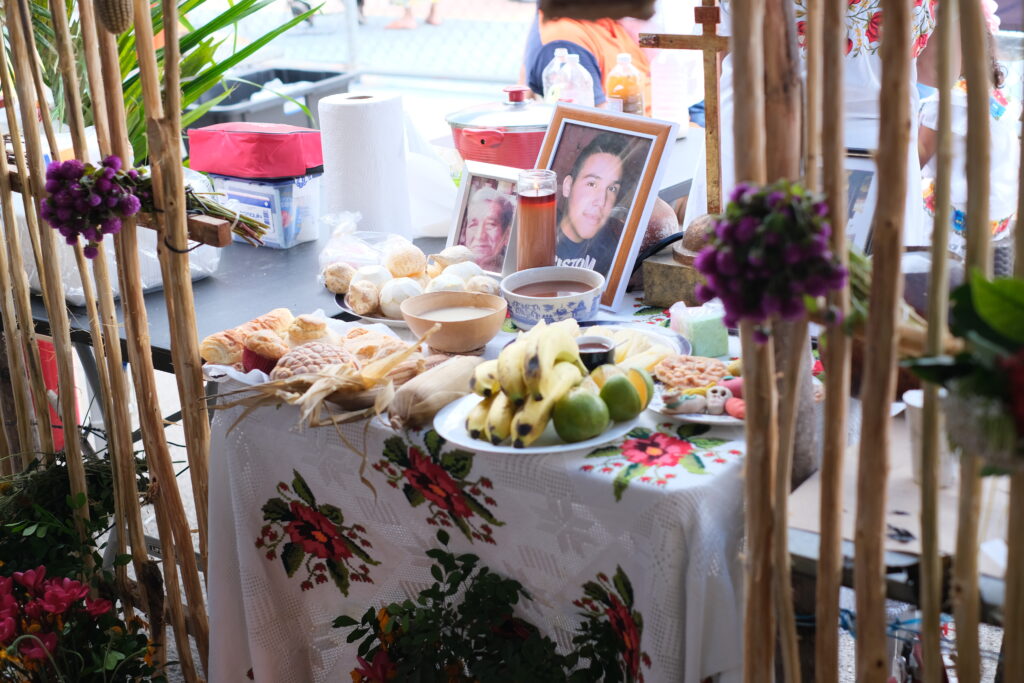 DIA DE LOS MUERTOS: DEN MRTVÝCH V MEXIKU