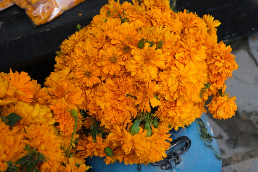 DIA DE LOS MUERTOS: DEN MRTVÝCH V MEXIKU