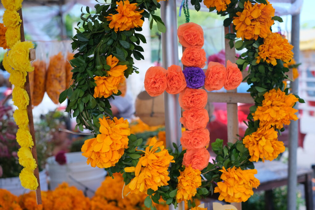 DIA DE LOS MUERTOS: DEN MRTVÝCH V MEXIKU