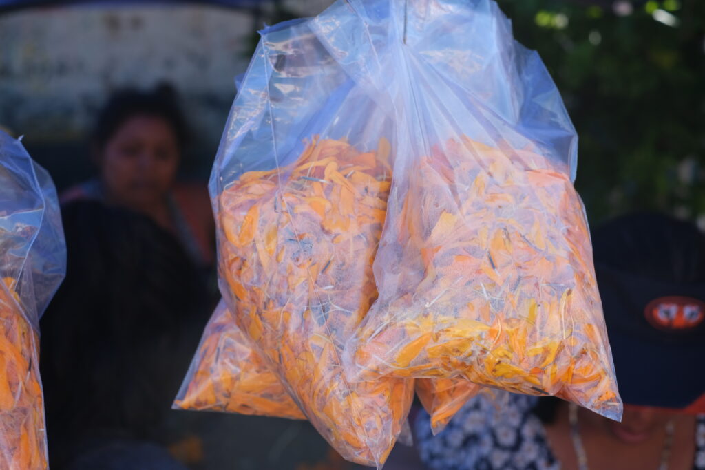 DIA DE LOS MUERTOS: DEN MRTVÝCH V MEXIKU