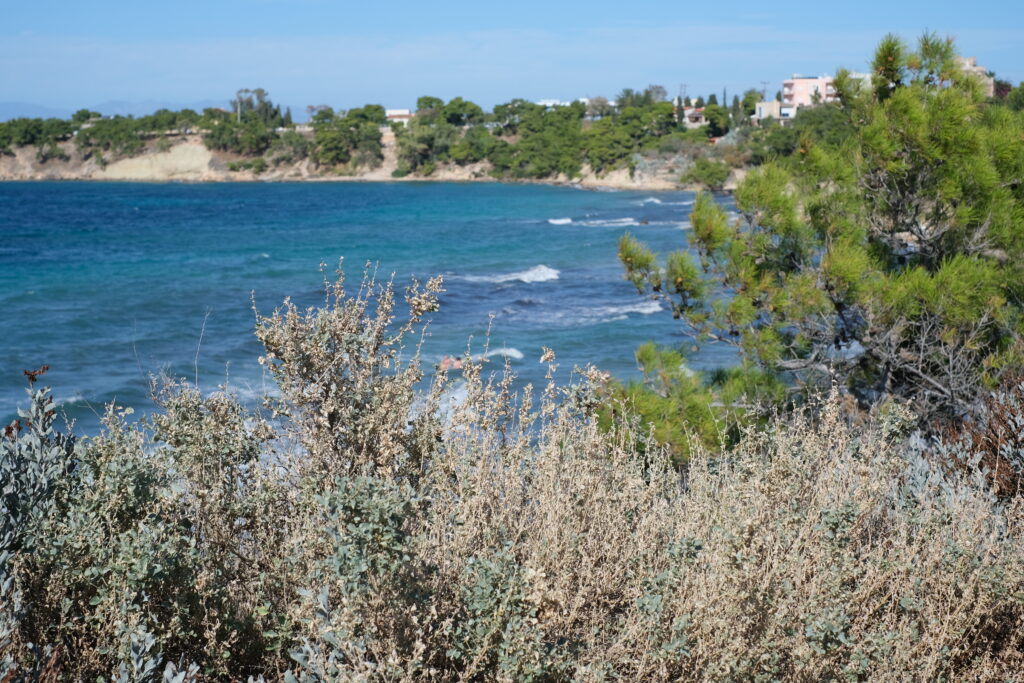 AEGINA: THE GREEK ISLAND OF PISTACHIO, WHERE TIME RUNS SLOWER