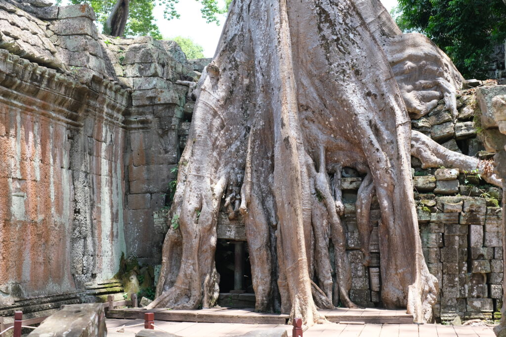  TEMPLES IN SIEM REAP: STONE STORIES THAT HAVE SURVIVED EVERYTHING