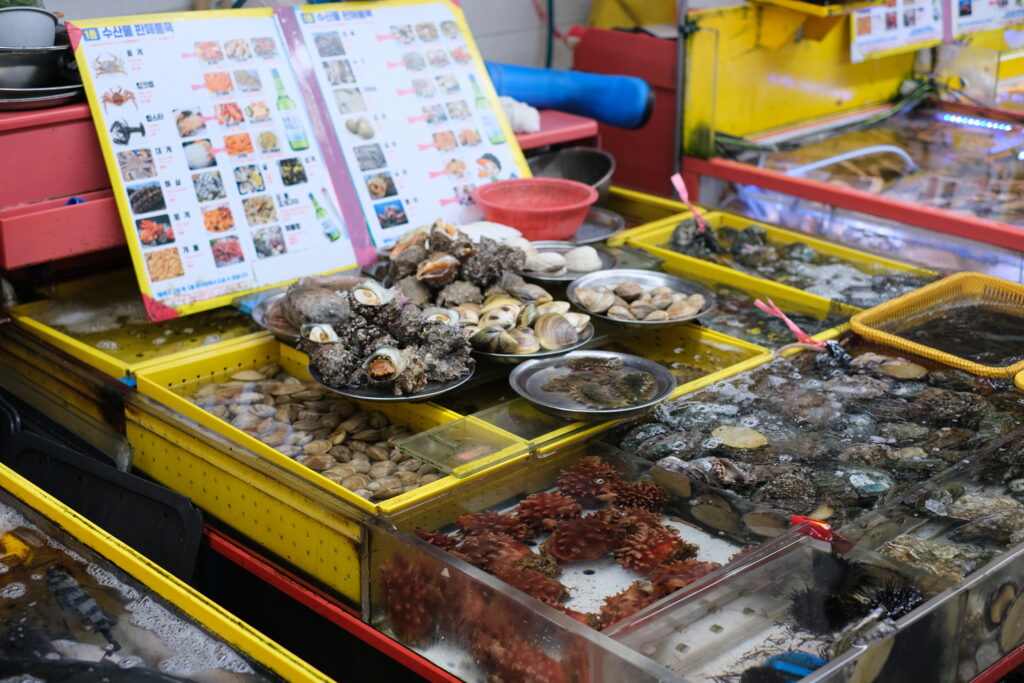 BUSAN: KOREA, KTERÁ VONÍ PO MOŘI
