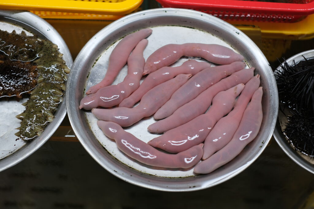 BUSAN: KOREA, KTERÁ VONÍ PO MOŘI