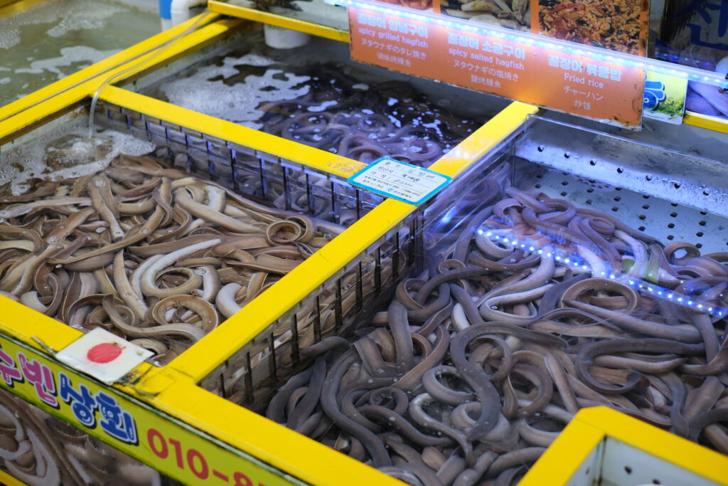 BUSAN: KOREA, KTERÁ VONÍ PO MOŘI