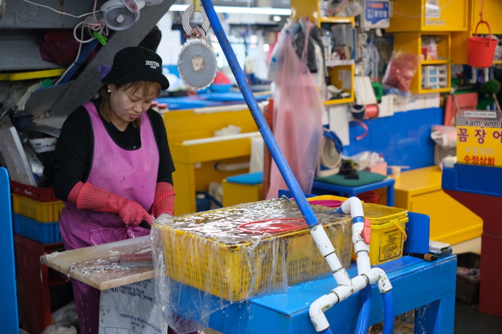 BUSAN: KOREA, KTERÁ VONÍ PO MOŘI