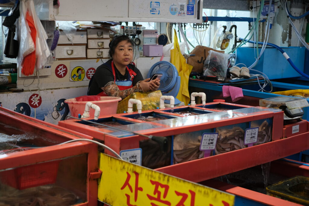 BUSAN: KOREA, KTERÁ VONÍ PO MOŘI