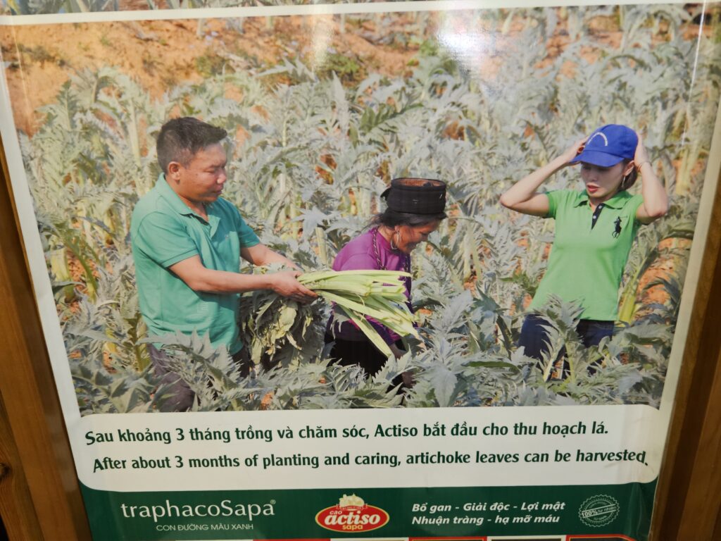 SAPA IN VIETNAM: THE MOST RICE FIELDS AND MOUNTAIN VILLAGES