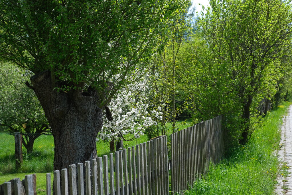 ZUBRNICE: A PICTURESQUE OPEN-AIR MUSEUM IN THE HEART OF THE CZECH CENTRAL
