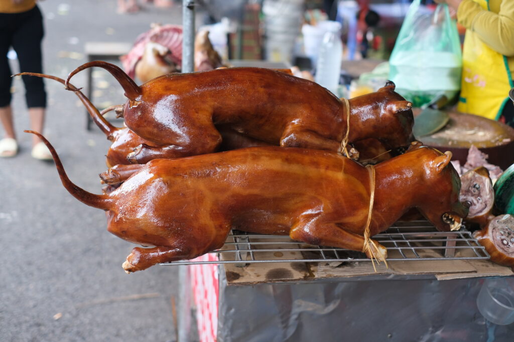 WHAT TO TASTE IN HANOI: A GUIDE TO THE FLAVORS OF THE VIETNAMESE METROPOLIS