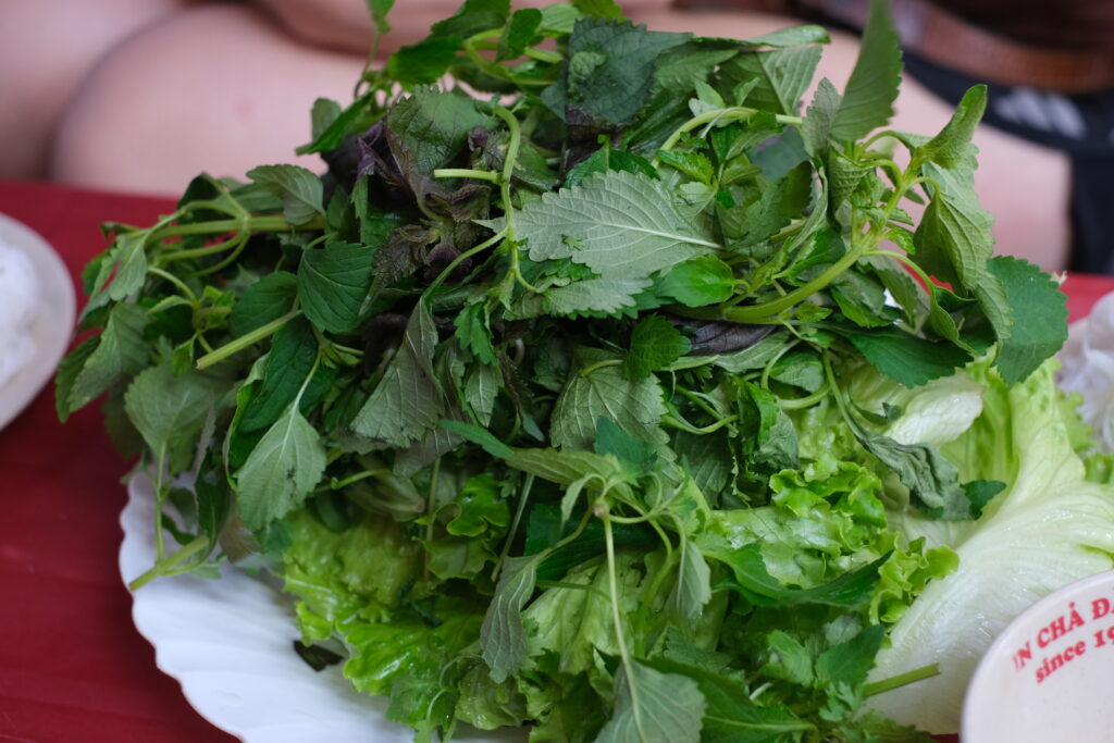 WHAT TO TASTE IN HANOI: A GUIDE TO THE FLAVORS OF THE VIETNAMESE METROPOLIS