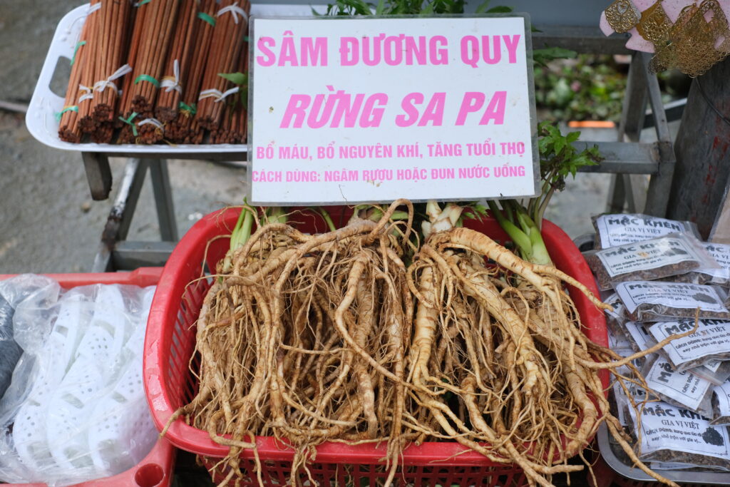 SAPA IN VIETNAM: THE MOST RICE FIELDS AND MOUNTAIN VILLAGES