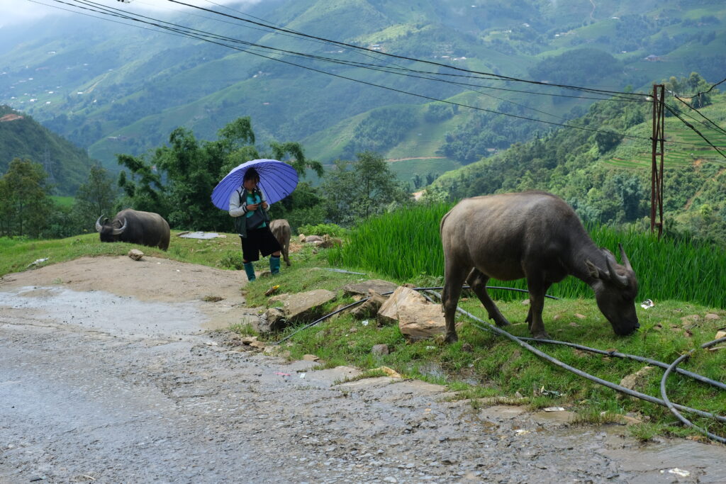 SAPA IN VIETNAM: THE MOST RICE FIELDS AND MOUNTAIN VILLAGES