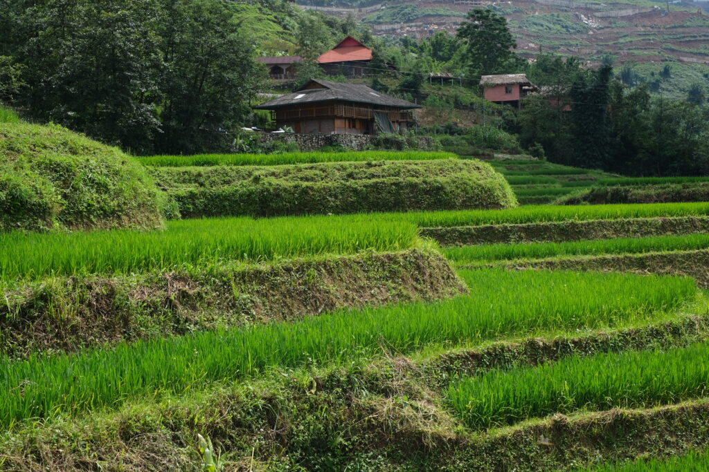 SAPA IN VIETNAM: THE MOST RICE FIELDS AND MOUNTAIN VILLAGES